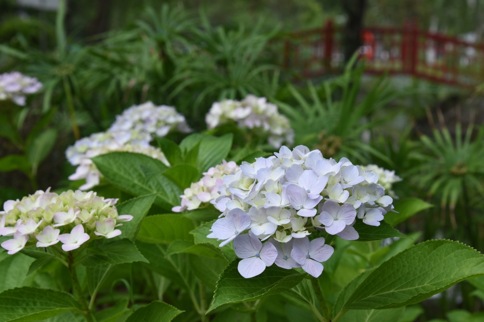 校园时光机|5月特辑